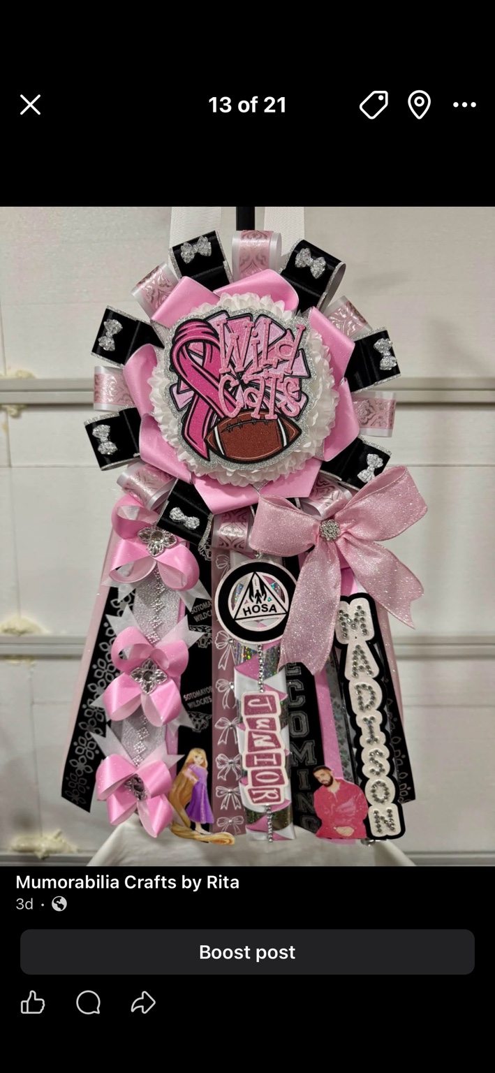 Homecoming Mums example 17